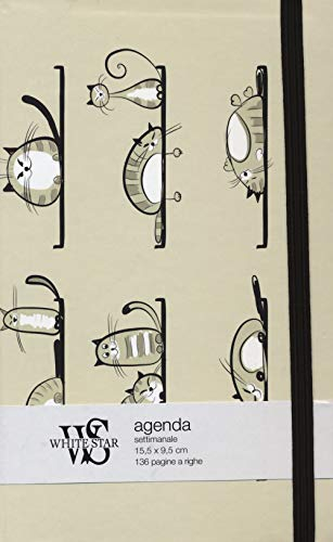 Editionen White Star Katzen 2 Wochenplaner