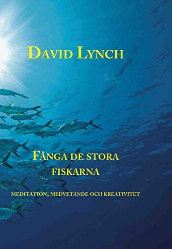 Fånga de stora fiskarna : meditation, medvetande och kreativitet