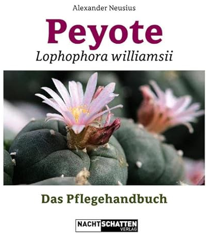 Peyote - Lophophora williamsii: Das Pflegehandbuch