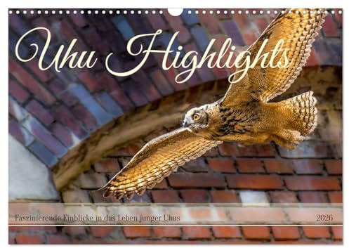 Uhu Highlights (Wandkalender 2026 DIN A3 quer), CALVENDO Monatskalender: Highlights aus dem Leben junger Uhus (CALVENDO Tiere)