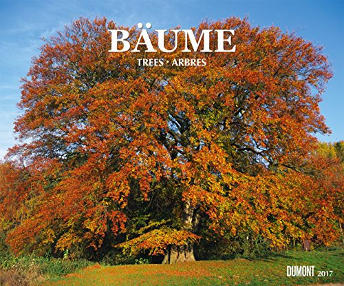 Bäume 2017: Trees; Arbres; Alberi