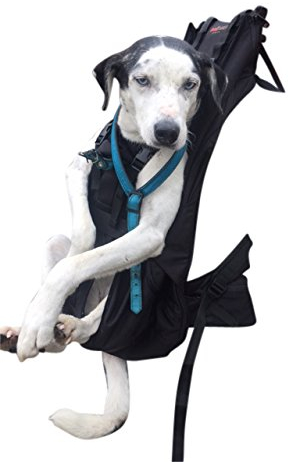 DogCarrier Sacchetto del Cane Zaino per Cani Vettore Cane Cane Zaino Borsa da Trasporto per Cani 15-30