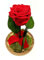 Mundo Eterno | Garden Center Shop | Rosa Eterna Roja en Cúpula de Cristal 22x12 cm | Rosa Preservada Natural | Regalo Romántico y Decoración Hogar | Sin Agua ni Mantenimiento | Bella y Bestia