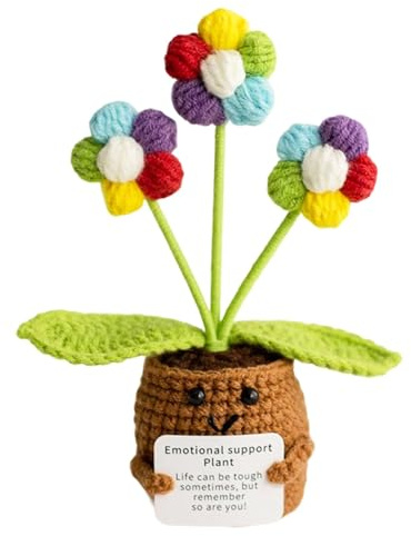 iewrtcin Emotional Support Crochet Positivity Gifts, Multicolor Crochet Flower Pot Plant