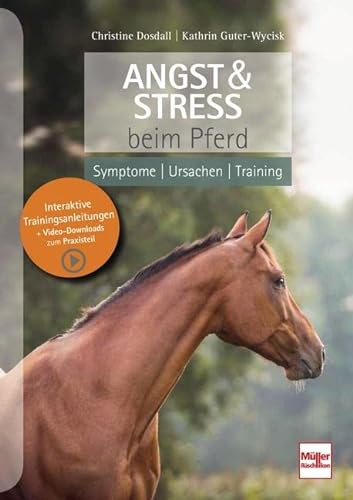 Angst & Stress beim Pferd: Symptome, Ursachen, Training