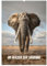 Im Herzen der Savanne (Wandkalender 2025 DIN A2 hoch), CALVENDO Monatskalender: Eine tierische Reise durch die Wildnis Afrikas (CALVENDO Tiere)
