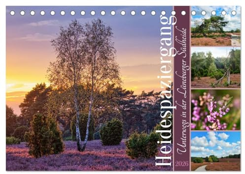 Heidespaziergang (Tischkalender 2026 DIN A5 quer), CALVENDO Monatskalender: Unterwegs in der Lüneburger Südheide (CALVENDO Natur)