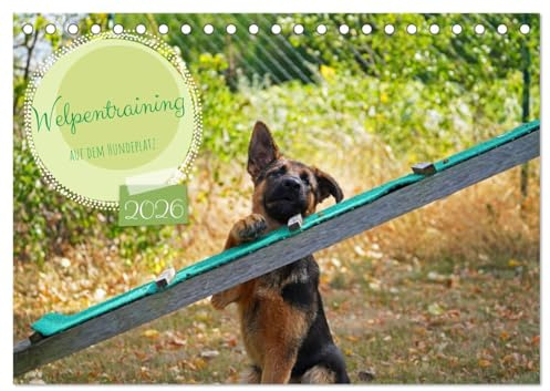 Welpentraining auf dem Hundeplatz (Tischkalender 2026 DIN A5 quer), CALVENDO Monatskalender: Schäferhundwelpe Poison beim Training (CALVENDO Tiere)