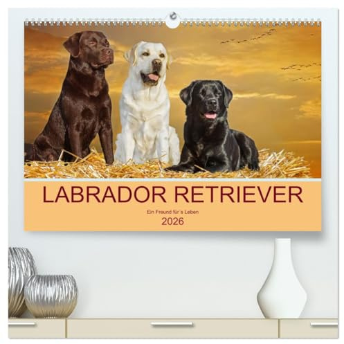 Labrador Retriever - Ein Freund für´s Leben (hochwertiger Premium Wandkalender 2026 DIN A2 quer), Kunstdruck in Hochglanz: In 13 wunderschönen Fotos ... liebenswerte Hunderasse vor. (CALVENDO Tiere)