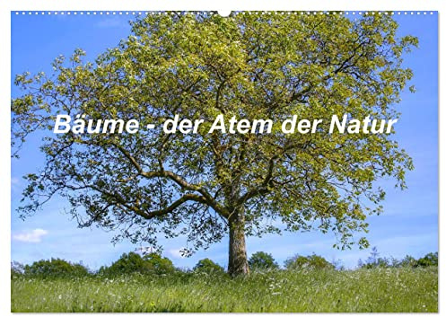 Bäume, der Atem der Natur (Wandkalender 2026 DIN A2 quer), CALVENDO Monatskalender: Bunte Baumvielfalt (CALVENDO Natur)