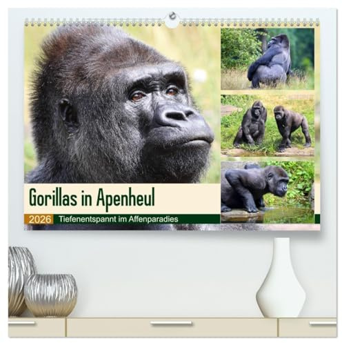 Flachlandgorillas in Apenheul (hochwertiger Premium Wandkalender 2026 DIN A2 quer), Kunstdruck in Hochglanz: Gorilla-Siesta im Affenparadies (CALVENDO Tiere)