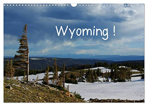 Wyoming! (Wandkalender 2026 DIN A3 quer), CALVENDO Monatskalender: Eine Reise durch Wyoming, Land der Cowboys (CALVENDO Natur)