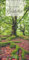 Wunderwelt der Bäume Kalender 2024. Baum-Fotos durch alle Jahreszeiten in einem länglichen Kalender im Format 33 x 68 cm. Jahres-Wandkalender 2024 mit Fotos von der Blüte bis zum kahlen Winter.