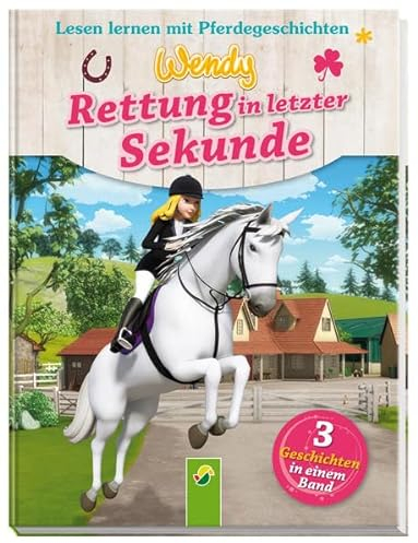 Wendy - Rettung in letzter Sekunde: Lesen lernen mit Pferdegeschichten. 3 Geschichten in einem Band
