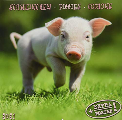Piggies/Schweinchen 2021: Kalender 2021 (Artwork Edition)