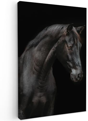 MuchoWow© Wandbilder 60x90 cm Schlafzimmer Home Deko Wohnung Bild Wohnzimmer Fotoleinwand Wand Bilder Leinwand Wall Decor Pferd - Tiere - Schwarz - Porträt