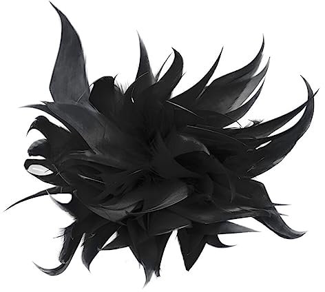 ihreesy Broche Élégante pour Femme, Broche Plume Fleur Broche de Fête Décor Coiffure pour Vêtements Broche de Mariage Femme Plume Broche Mariage Plume Fleur Broche,Noir
