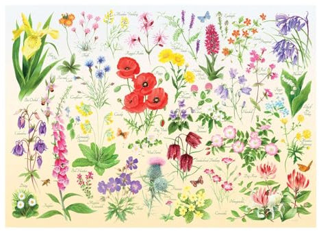 The House of Puzzles Wildflowers Jigsaw - 1000 Piece Jigsaws Age 3+ For Adults, Artist Illustrated, Scenic Landscape, Deluxe Puzzle Gifts