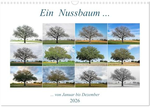 Ein Nussbaum von Januar bis Dezember (Wandkalender 2026 DIN A3 quer), CALVENDO Monatskalender: Ein schöner Baum im Wandel der Jahreszeiten (CALVENDO Natur)