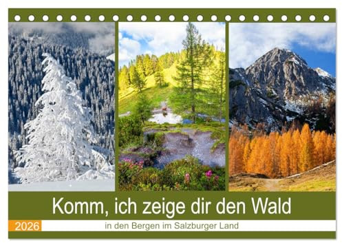 Komm, ich zeige dir den Wald (Tischkalender 2026 DIN A5 quer), CALVENDO Monatskalender: Schöne Wälder in den Bergen im Salzburger Land (CALVENDO Natur)