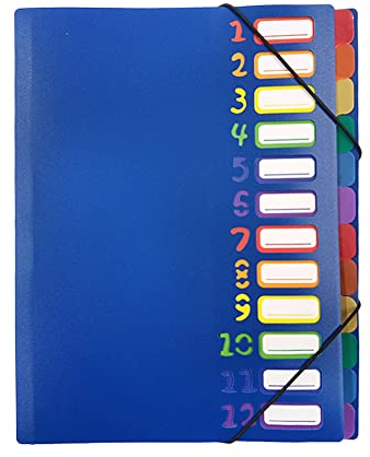 Dokumentenmappe A4 Pultordner Farbig 12 Fächer Sammelmappe Datei Organizer Wasserdicht Aktenordner Büro Ringordner Tragbar Ordnungsmappe Trennblätter Projektmappe Dokumente Ringbuch mit Gummizug