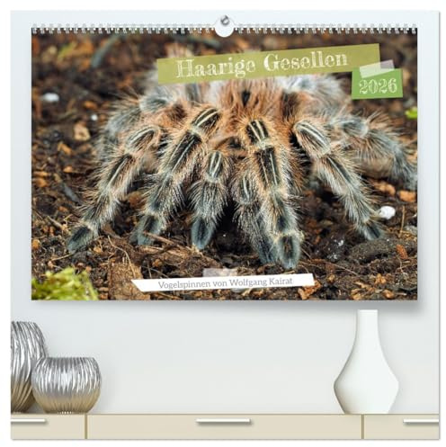 Haarige Gesellen (hochwertiger Premium Wandkalender 2026 DIN A2 quer), Kunstdruck in Hochglanz: Vogelspinnen-Poster für jeden Monat. (CALVENDO Hobbys)