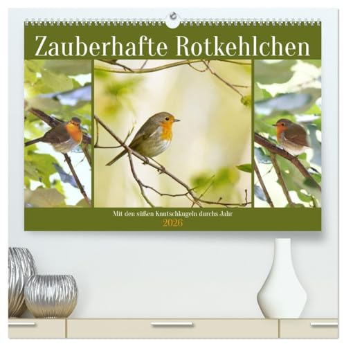 Zauberhafte Rotkehlchen (hochwertiger Premium Wandkalender 2026 DIN A2 quer), Kunstdruck in Hochglanz: Mit den süßen Knutschkugeln durchs Jahr (CALVENDO Tiere)