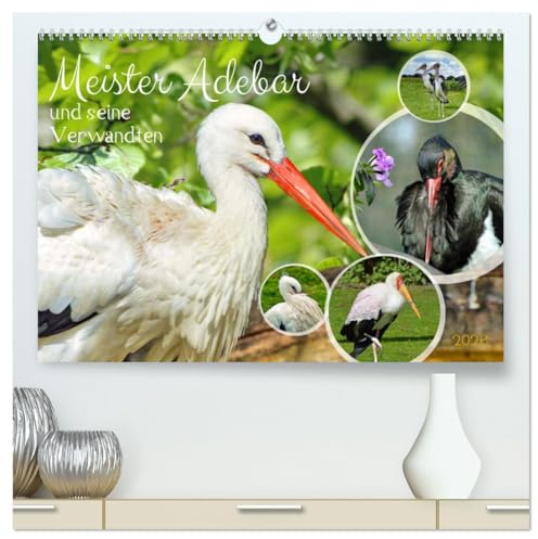 Meister Adebar und seine Verwandten (hochwertiger Premium Wandkalender 2026 DIN A2 quer), Kunstdruck in Hochglanz: Unterschiedliche Störche im Portrait (CALVENDO Tiere)