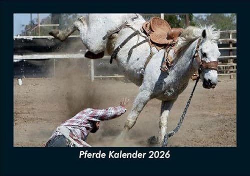 Pferde Kalender 2026 Fotokalender DIN A5: Monatskalender mit Bild-Motiven von Haustieren, Bauernhof, wilden Tieren und Raubtieren