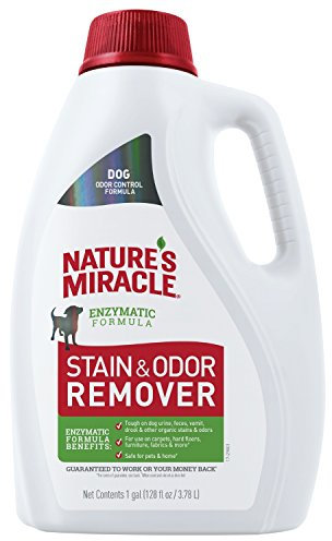 Nature's Miracle Dog Stain and Odor Remover, Everyday Mess Enzymatic Formula, 1 gal