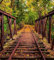 Vlies Fototapete EISENBAHN IM WALD 225 x 250 cm | Vliestapete - Wandtapete inklusive Kleister | PREMIUM VLIES QUALITÄT