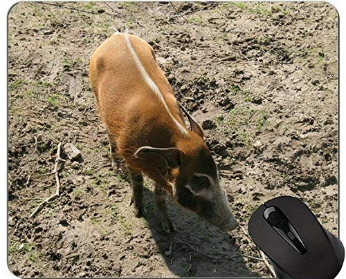 Baby Pig Mouse Pad Mat,Brush Ear Pig Mouse Pad Mat