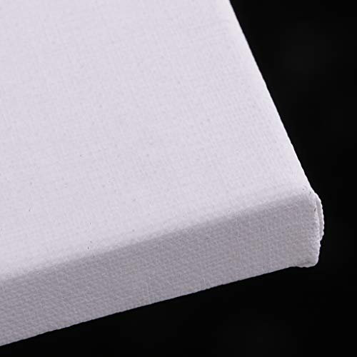 chiwanji Panneaux de Toile Peinture à l’Eau, Toiles à Peindre Blanches pour Artistes, 30x50cm