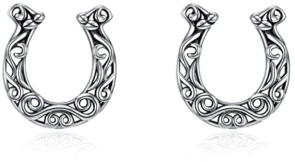 925 Sterling Silber Lucky Hufeisen Ohrringe Ohrstecker für Mädchen Frauen Western Geschenk Schmuck für Cowgirl