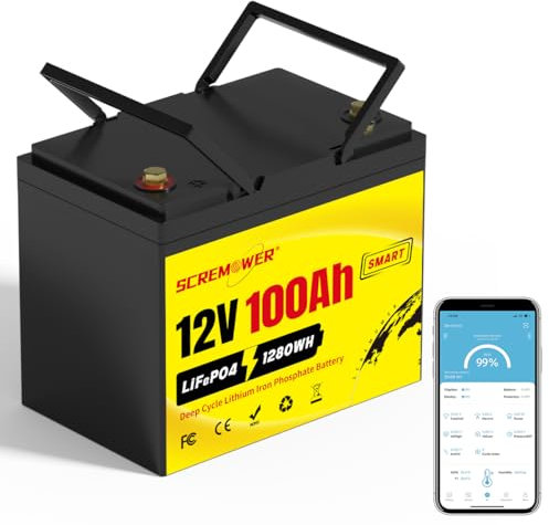 Batteria al Litio 12V 100AH gruppo 24 con 100A BMS Lifepo4 Batteria Potenza Massima di 1280 W, Connessione APP, Batterie a ciclo profondo per RV, Camper, Trolling Motor, Off-grid, Impianto solare