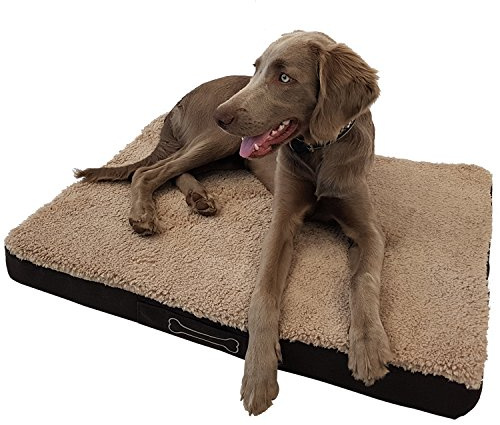 Waidmeister Hundebett Benji - orthopädisches Hundekissen - Haustierbett - Hundeliege mit waschbarem Bezug - Hundesofa Beige (L 72cm)