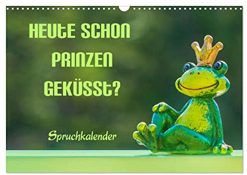 Heute schon Prinzen geküsst? Spruchkalender (Wandkalender 2026 DIN A3 quer), CALVENDO Monatskalender: Spruchkalender mit Humor (CALVENDO Spass)