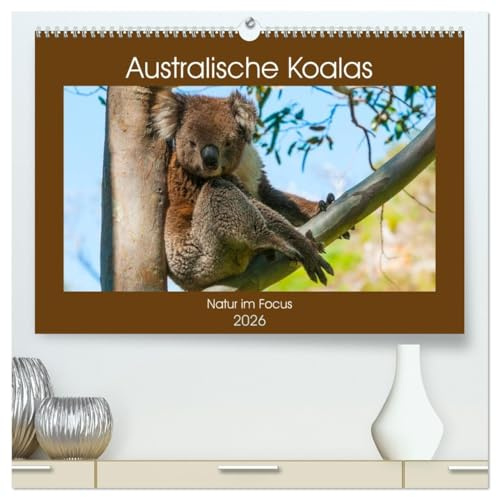 Australische Koalas (hochwertiger Premium Wandkalender 2026 DIN A2 quer), Kunstdruck in Hochglanz: Koalas sind nachtaktive Beuteltiere, die nur im Osten Australiens beheimatet sind. (CALVENDO Tiere)