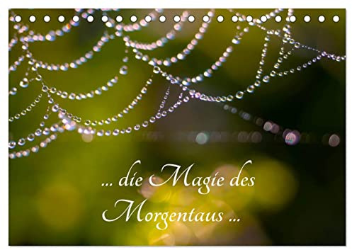 ... die Magie des Morgentaus ... (Tischkalender 2026 DIN A5 quer), CALVENDO Monatskalender: Makrofotografie von Tau am Morgen in seinen unterschiedlichen Erscheinungen (CALVENDO Natur)