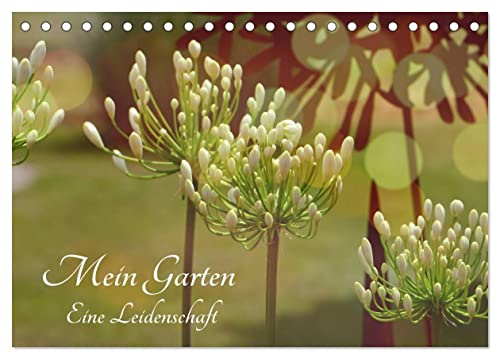 Mein Garten Eine Leidenschaft (Tischkalender 2026 DIN A5 quer), CALVENDO Monatskalender: Ich liebe meinen Garten zu jeder Jahreszeit (CALVENDO Natur)