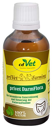 cdVet Naturprodukte privet DarmFlora 50 ml - Schwein, Geflügel, Kaninchen - Nahrungsergänzung - Verdauungsprobleme + gestörte Darmflora - Darmunterstützung - Förderung - Anregung des Immunsystems -