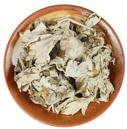 Hojas de Artemisa Té de Hierbas Té Perfumado Original de China Buen Té Té de Flores Orgánico Natural Comida Verde sin Aditivos Té de Hierbas (50g)