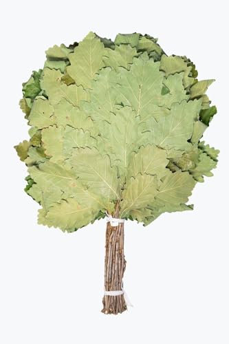 Кaukasischer Eichenbesen Profi Russian Venik aus kaukasischer Eiche – Professioneller Whisk/Banya-Besen