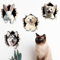SUPERDANT 3D Wandtattoo Mit Tieren Katze Kaninchen Wandsticker Und Hund Wandaufkleber Durchbrechen Vinyl Wandsticker Raumdeko Katzenaufkleber Tapete Für Kinderspielzimmer 3D Wandkunst Mit Kaputter