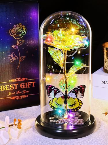 DEEMEI Mothers Day Rose Gifts for Mum, Mother's Day Eternal Rose Flower Birthday Gifts for Mum Wife Girlfriend Galaxy Crystal Rose Light Up Flower In Glass Dome for Mothersday Anniversary Presents