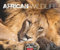 African Wildlife Kalender 2023. Die Tierwelt Afrikas in atemberaubenden Fotos festgehalten für einen großen Wandkalender. Fotokalender mit Wow-Faktor.