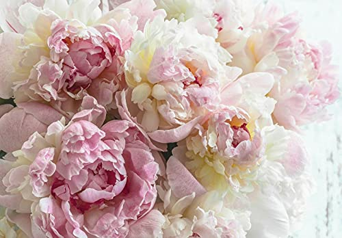 WallArena - Vlies Fototapete Blumen Pfingstrose Rosen Romantik Rosa 400x280 cm - Fototapeten - Tapeten - für Wohnzimmer Schlafzimmer - Vliestapete Wandtapete Tapete 3D Effekt- inkl. Kleister