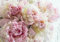 WallArena - Vlies Fototapete Blumen Pfingstrose Rosen Romantik Rosa 400x280 cm - Fototapeten - Tapeten - für Wohnzimmer Schlafzimmer - Vliestapete Wandtapete Tapete 3D Effekt- inkl. Kleister
