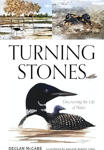 Turning Stones: Discovering the Life of Water