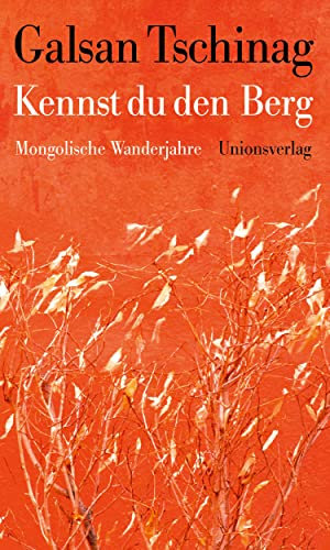 Kennst du den Berg: Mongolische Wanderjahre: Mongolische Wanderjahre. Die Lebensromane (2)